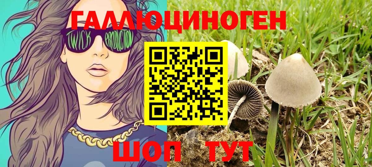 Псилоцибиновые грибы прущие грибы  где купить наркотик  Осинники  Галлюциногенные грибы мухоморы  Вход с VPN 